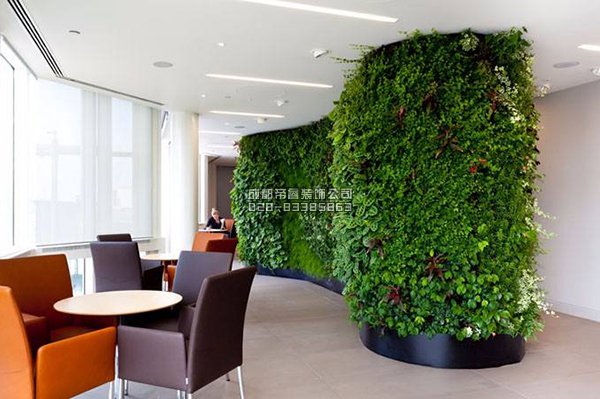 辦公室裝修完以后擺放什么綠植好？